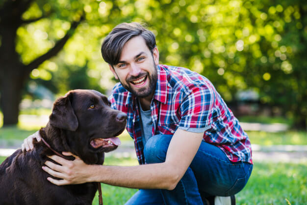 Pet Care Support