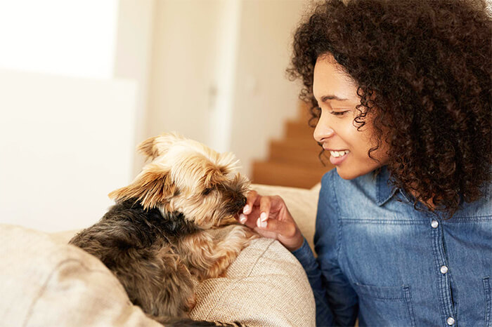 Why Choose Our Pet Care